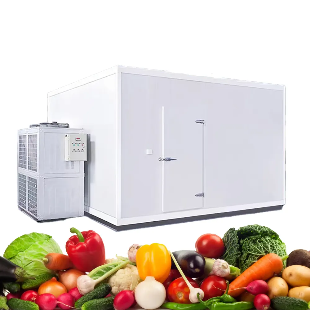 効率的な食品保存のためのカスタマイズされたオニオンフードショップ冷蔵室保管