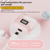 Écouteurs TWS Mini OEM ODM, véritablement sans fil, coque transparente, réduction de bruit, affichage LED