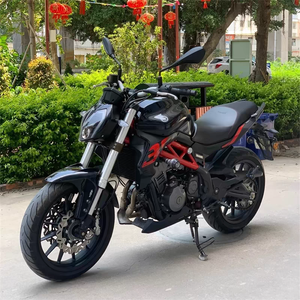 <span class=keywords><strong>Benelli</strong></span> Yellow Dragon 300 Moto Stradale 300cc Quattro Tempi Raffreddata a Liquido Modello BJ300GS-3 Velocità Massima 150 km/h Prodotta in Cina Continentale - Product Image 5