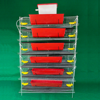 Cages à cailles de type H en treillis métallique de qualité supérieure pour la production d'œufs – Cages en batterie à 6 niveaux pour la vente