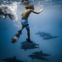 Néoprène rembourré plongée BodyBoard natation Flipper palmes gardiens sangle accessoires réglable Surf manchette aileron laisse attaches économiseurs