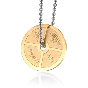 Colgante de fitness con forma de escudo, collar de levantamiento de pesas de acero inoxidable, regalo para hombre SP587 - Product Image 5