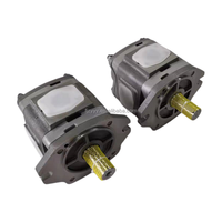 IPV IPVP IPVP IPVS 3 4 5 6 7 pompe à engrenages hydraulique IPVS5-25-101 IPVP 5-32 151 IPVS6-100-101 IPVAP 5 50 101 pompe à engrenages hydraulique
