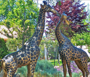 Estatua de jirafa de fibra de vidrio de tamaño <span class=keywords><strong>natural</strong></span> de <span class=keywords><strong>reserva</strong></span> <span class=keywords><strong>natural</strong></span> salvaje, decoración de <span class=keywords><strong>animales</strong></span> de jardín en escultura de resina de estilo artístico - Product Image 5