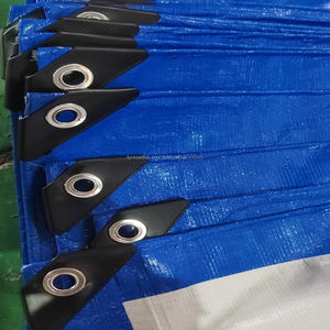 Vente directe d'usine, bâche en PE légère, résistante aux UV, imperméable, bords renforcés, œillets métalliques, taille personnalisée pour - Product Image 6