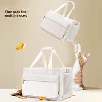 Valise à roulettes pour animaux de compagnie, transporteur rectangulaire double étage pour chat et chien, grande capacité, deux places, printemps/été