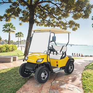Voiturette de golf 2 places de qualité supérieure, prix promotionnels de gros du fabricant, best-seller répondant à la demande - Product Image 3