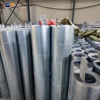 Fabricant de bobines de tôle perforée OEM, production sur mesure en acier inoxydable, aluminium, acier au carbone
