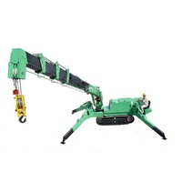 Mini Grue de Construction Diesel Portable de 1 Tonne à Vendre