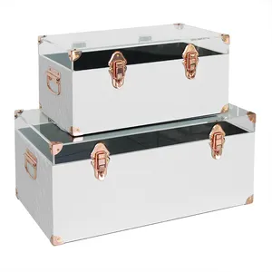 Белый набор из 2 кожаных багажников с прозрачной акриловой крышкой и замком из розового золота