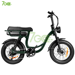 电动自行车 7 速宽胎后轮毂电机 48V 250W 20 英寸液压刹车 储物仓电动自行车 - Product Image 6