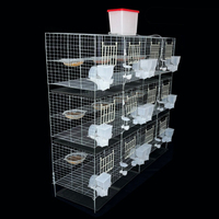 Bon prix pour une cage à cailles entièrement automatique