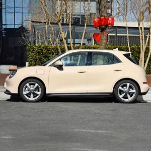 2023 Ora iyi kedi Ev araba sevimli Beetle modeli yeni elektrikli enerji araçlar arabalar Lady için