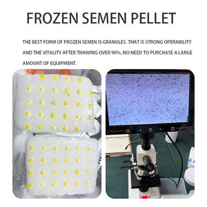 Équipement de stockage de sperme congelé pour chiens et bovins, technologie d'entraînement, enseignement, stockage à l'azote et à la glace sèche, équipement vétérinaire - Product Image 3