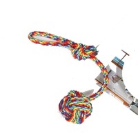Jouet à mâcher durable en corde de coton arc-en-ciel pour chien avec nœuds, jouet de traction pour le nettoyage des dents des chiots