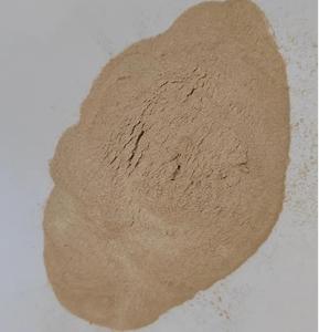 1 Usine à bas prix Bactérie Azotobacter Poudre brun clair Agriculture Utilisation 10 milliards d'UFC/g Ingrédient actif de qualité industrielle - Product Image 1