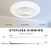 Lampe ventilateur à télécommande, design simple, CCT réglable et dimmable, 220V 40W+20W