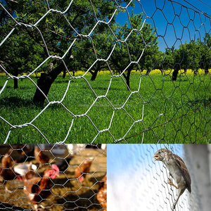 Clôture en grillage tissé galvanisé pour poulets, chiens et protection des plantes et des animaux – Vente directe usine - Product Image 5