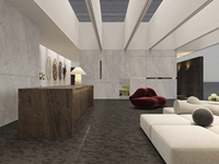 Grandes dalles de quartzite cuir de bronzite naturelle du Brésil, granit brun Cabernet, pour comptoirs modernes sur mesure, îlots, tables et dessus de vanité