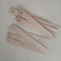 Bâtonnets de crème glacée en bois de bouleau perforés NEWELL, écologiques, assemblés à la main, pour sucettes glacées maison