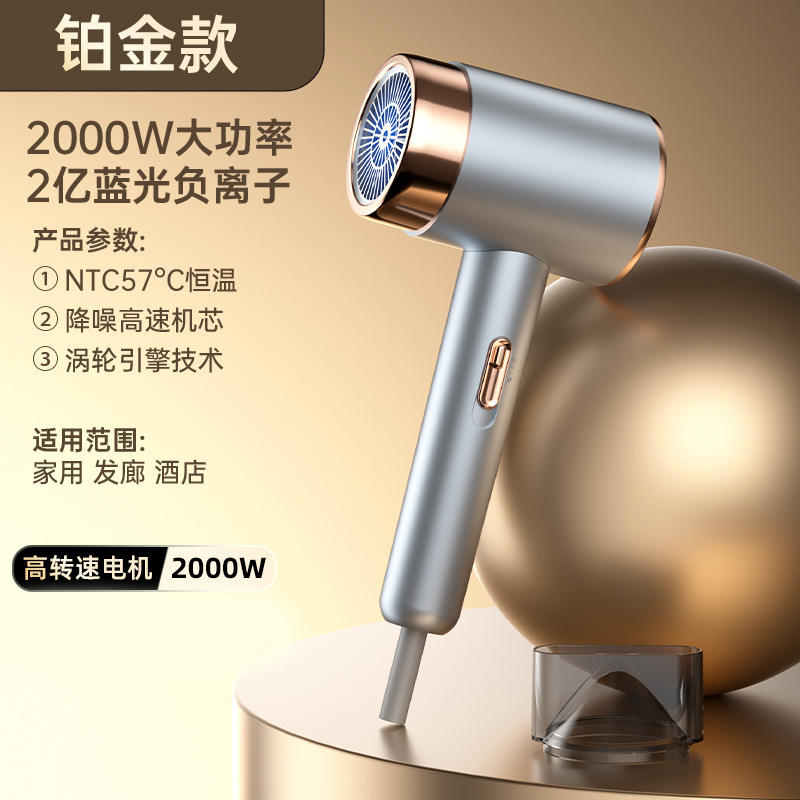 H02 lumière bleue ion négatif [argent] 2000w