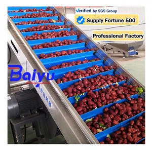 Baiyu Fresh Fruits Cleaner Ozone Fruit Vegetable Cleaning Drying Machine Dry Dates Fruit Vegetable Washing Machine For Sale