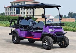 Voiturette de golf de luxe de rue électrique à 4 roues motrices 6 places à vendre avec batterie et moteur 5kw - Product Image 3