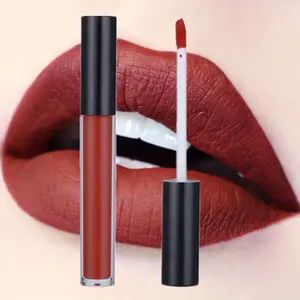 20 high pigment colors waterproof no logo custom long lasting formula organic velvet matte liquid lipstick