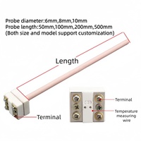 Termokopel Platinum Rhodium Tipe S 8*500mm Stabilitas Tinggi (PtRh10-Pt) Termokopel 0-1600