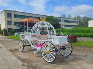 Prix d'usine en gros : Carrosse de mariage électrique sans chevaux, en métal et osier, modèle Princesse Citrouille Cendrillon, pour la vente de souvenirs - Product Image 2