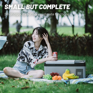 Réfrigérateur personnalisé C15 12V pour voiture, congélateur pour <span class=keywords><strong>camion</strong></span>, compresseur portable AC/DC, réfrigérateur Alpicool, réfrigérateur électrique pour camping-car - Product Image 3