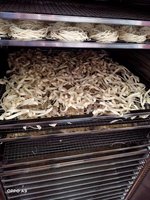 Industriële fruit- en groentedroger, 600L capaciteit, motor aangedreven, food grade roestvrij staal, PLC-gestuurd, hetelucht droging