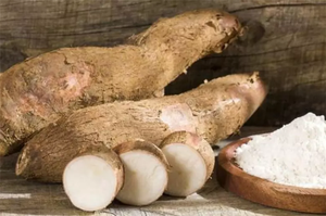 Машина для обработки крахмала кассавы/машина для обработки картофеля tapioca yuca garri - Product Image 4