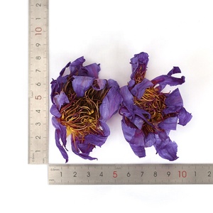 Fiori <span class=keywords><strong>di</strong></span> Nymphaea Caerulea Commestibili Biologici Lan Lian Hua, Fiori <span class=keywords><strong>di</strong></span> <span class=keywords><strong>Loto</strong></span> <span class=keywords><strong>Blu</strong></span> Essiccati per Tè - Product Image 4