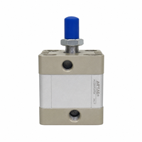 Cilindro Neumático Compacto ACE32X10SB de 32x10 mm, Doble Acción, Magnético, para Automatización, Sujeción y Expulsión