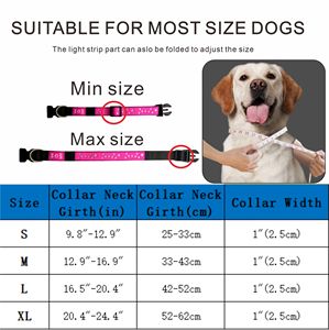 Collar LED para Mascotas Recargable por USB con Diseño de Huella de Perro 3D en Cinta de Poliéster y Goma Cómoda, Gran Venta - Product Image 5