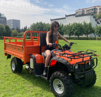 NoBoWan300cc Dune Buggy Quad agricole Capacité de charge 320 kg Moto tout-terrain multifonctionnelle à quatre roues 12,5 kW Pneus tubeless pour