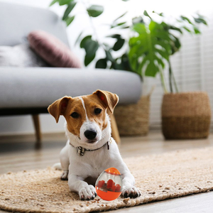 Balle de distribution de friandises IQ lente interactive Jouet pour chien et chat avec <span class=keywords><strong>distributeur</strong></span> de nourriture Vente en gros d'usine OEM - Product Image 6
