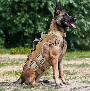 Chaleco transpirable para perros, chaleco de entrenamiento, chaleco táctico ligero para perros. - Product Image 4