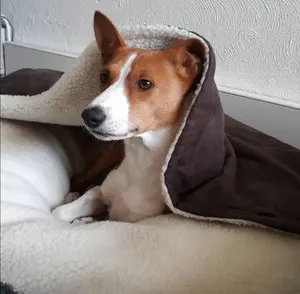 Grande poche pour animal de compagnie, lit à capuche, confortable, pour chiens et chats, facile à nettoyer, idéal en peluche