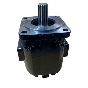 Bomba de Engranajes Hidráulica de Hierro Fundido HuamaoP7600 200CC Uchida Parker Rexroth con Chavetero Recto - Product Image 2
