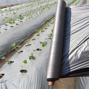 Сверхпрочная перфорированная мульчированная пленка для легкой установки для сельскохозяйственных участков - Product Image 1