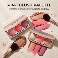 Palette de fards à joues à l'extrait d'aloe vera, formule apaisante, marque privée OEM ODM, végétalien, sans cruauté, base de maquillage, production experte, professionnel