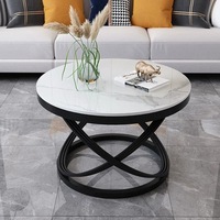 Mesa de Centro de Metal Ecológica y Duradera de Diseño Creativo, Disponible en Varios Colores, Personalizable, Muebles Modernos para el Hogar