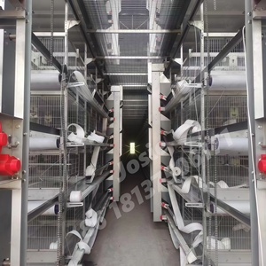 Cages pour poulets <span class=keywords><strong>de</strong></span> chair en forme <span class=keywords><strong>de</strong></span> H à trois couches élevages avicoles <span class=keywords><strong>de</strong></span> poules pondeuses Cadre en <span class=keywords><strong>cage</strong></span> <span class=keywords><strong>de</strong></span> <span class=keywords><strong>transport</strong></span> <span class=keywords><strong>de</strong></span> poulets Shougang - Product Image 2