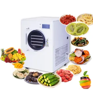 4-6kg ev küçük Mini donmalı kurutucu sebze meyve et Pet gıda yüksek etkili endüstriyel dondurucu kurutma makinesi liyofilizatör
