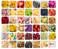 JIAXIN 25Kg IJs, Suikergoed, Koffie, Aardbei, Diepvriesfruit en -groente, Vloeibaar Huisdierenvoer Vacuümvriesdroogmachine