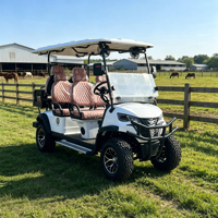 Voiturette de golf électrique Americas Choice 72V avec teinte personnalisable et solutions de rangement supplémentaires polyvalentes pour la maison