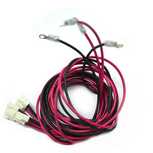 Disesuaikan kawat tembaga untuk kawat 2-Pin kawat Harness loom dengan konektor Jst kabel perakitan untuk mobil 2 posisi 5mm Pitch - Product Image 4