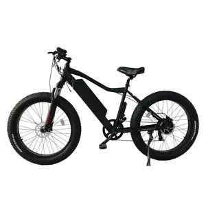 Green super power electric bikes 72v 750 watts powerful fat tyre electric bicycle